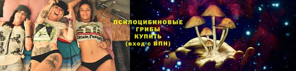 шишки Бугульма