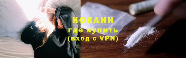 шишки Бугульма