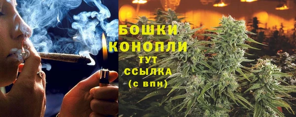 трава Бородино