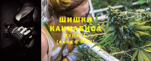 трава Бородино