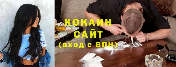 трава Бородино