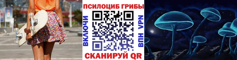 omg tor Белгород Псилоцибиновые грибы прущие грибы