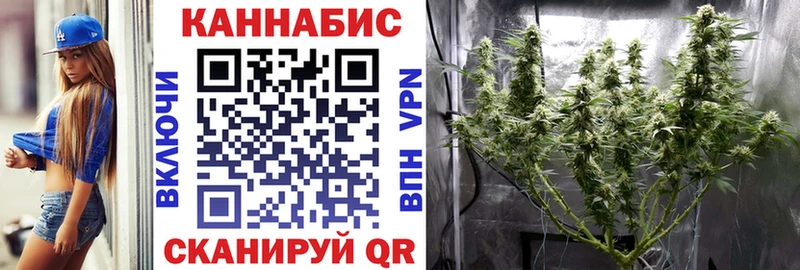 OMG сайт  Белгород  МАРИХУАНА SATIVA & INDICA 